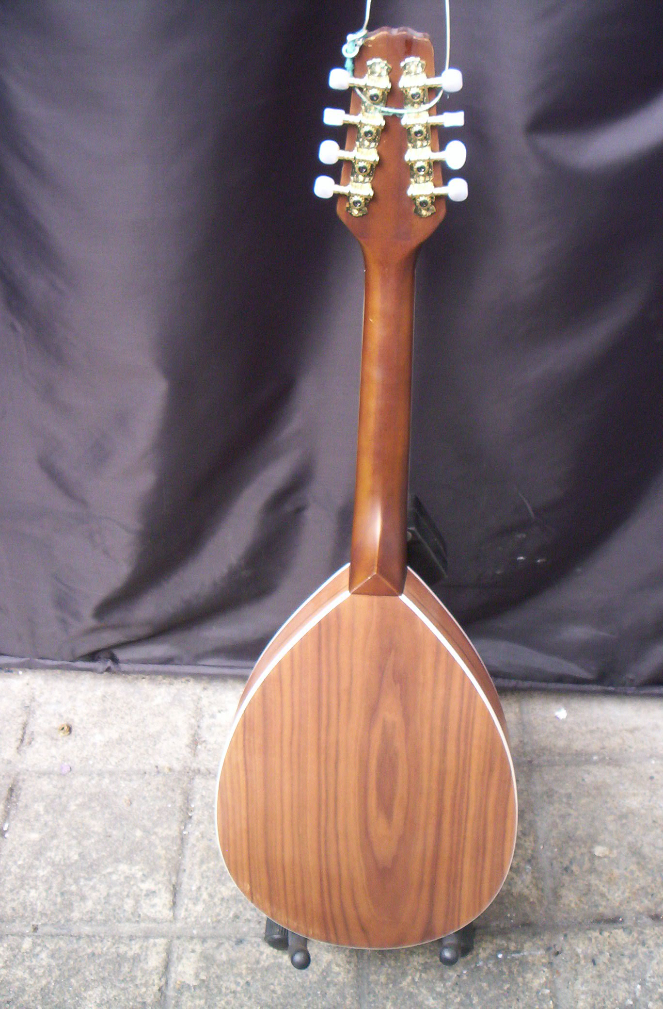 Irish Bouzouki, Loar Mandolin and Recording King Banjo Musical