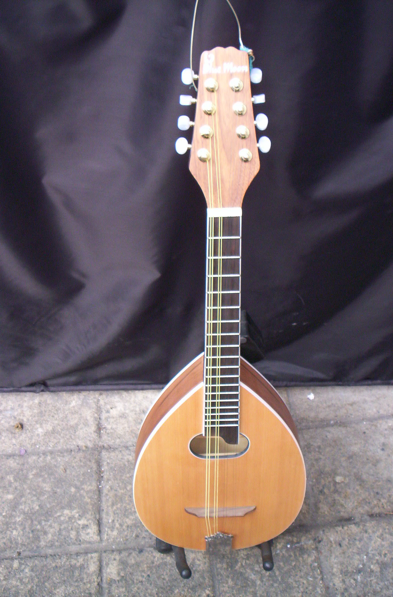 Irish Bouzouki, Loar Mandolin and Recording King Banjo Musical